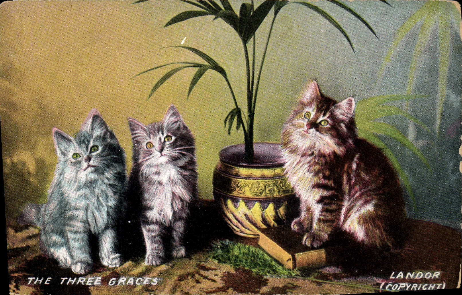 CPA Chat Chats Chaton The three graces Landor 