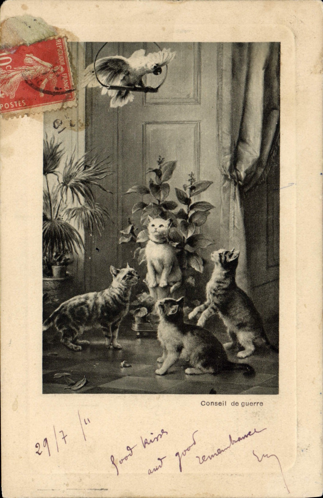 CPA Chat Chats Chaton Perroquet Conseil de guerre 