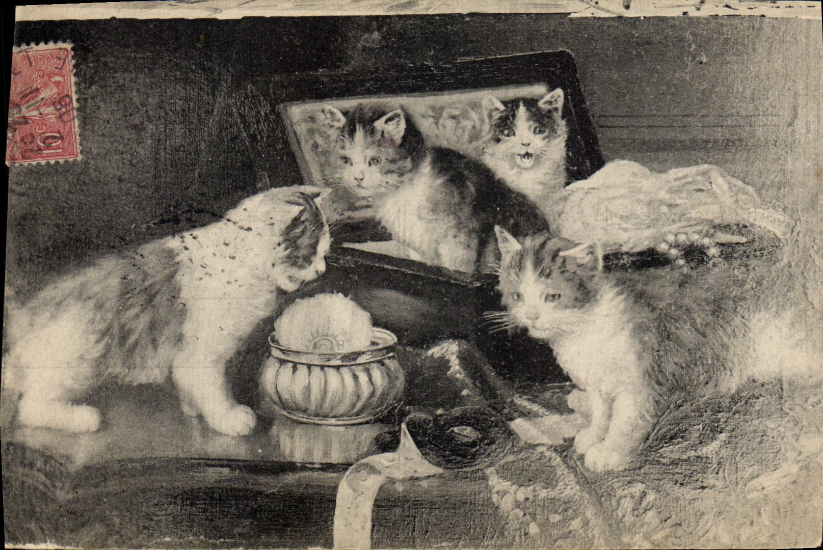 CPA Chat Chats Chaton 