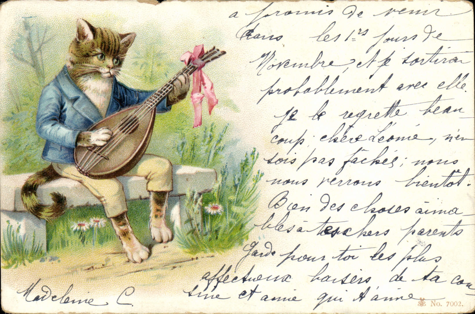 CPA Chat Chats Chaton 