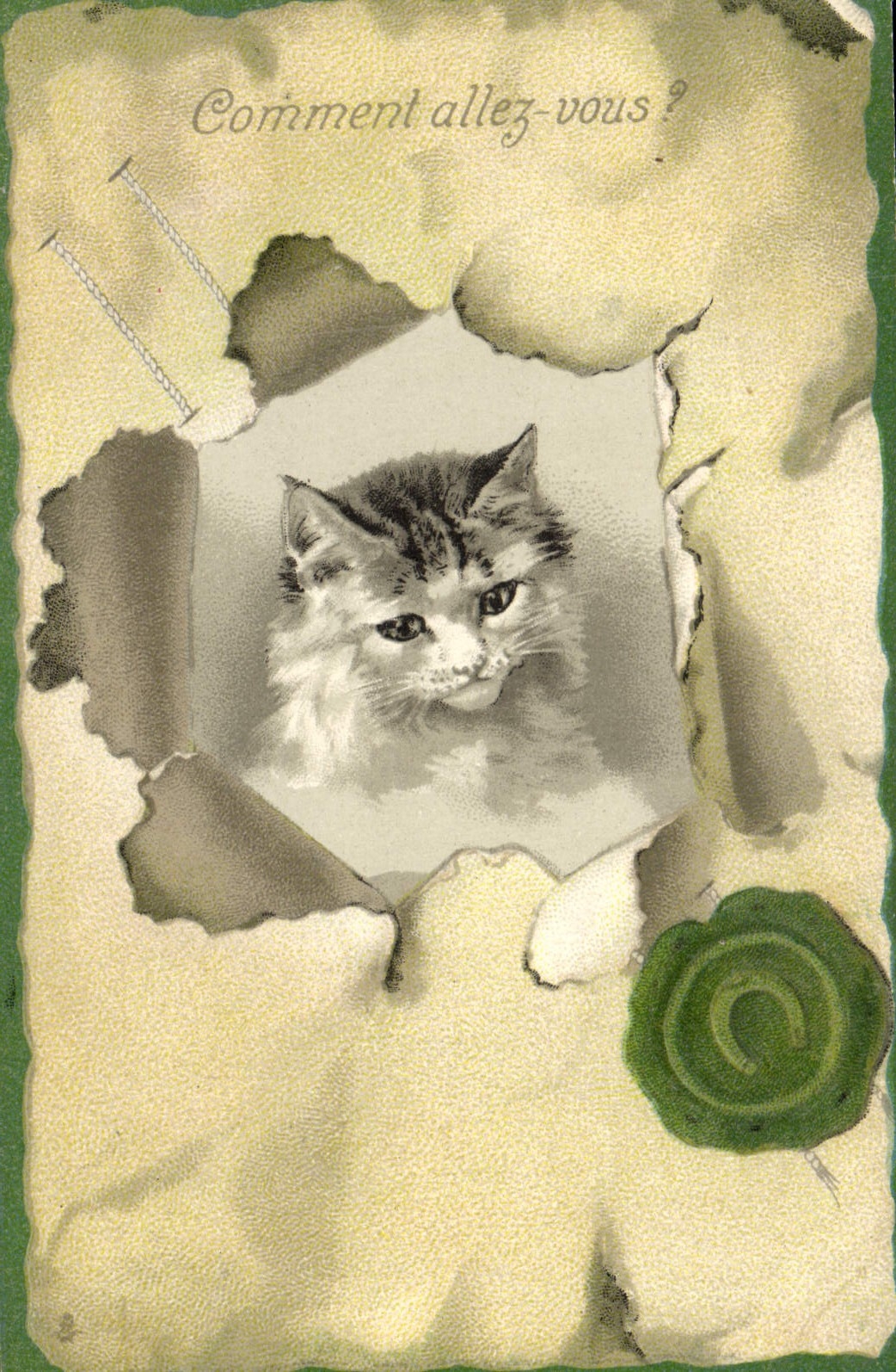 CPA Chat Chats Chaton Comment allez vous ?
