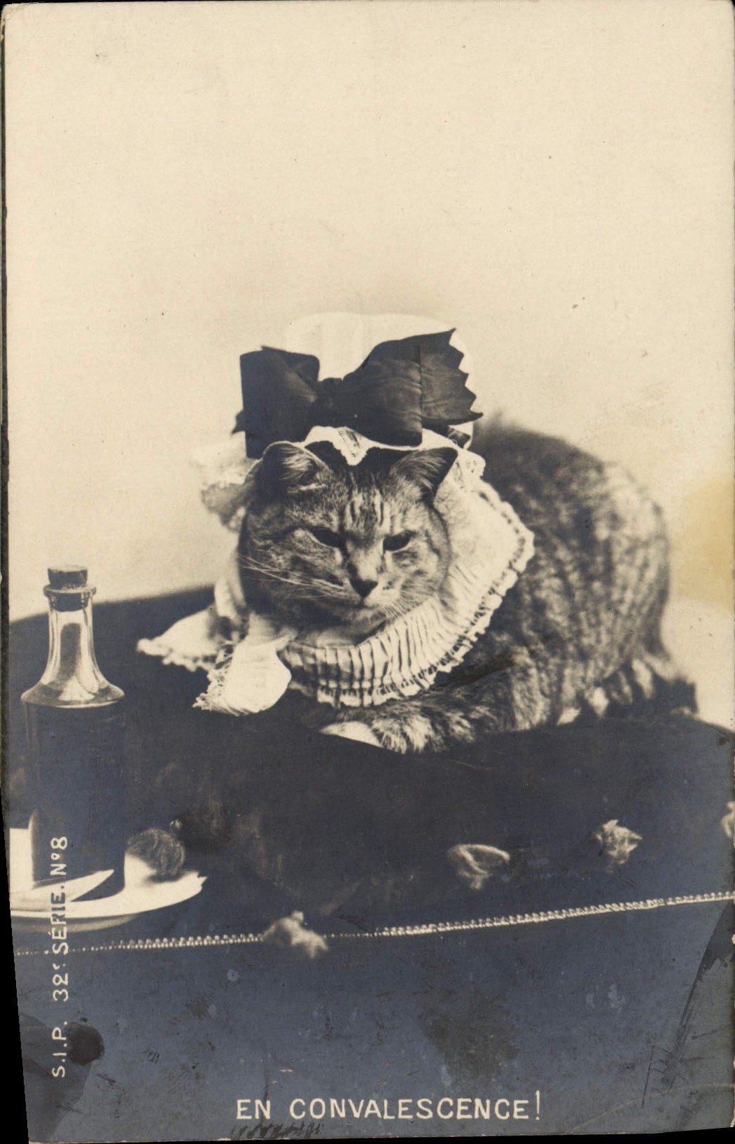 CPA Chat Chats Chaton En convalescence 