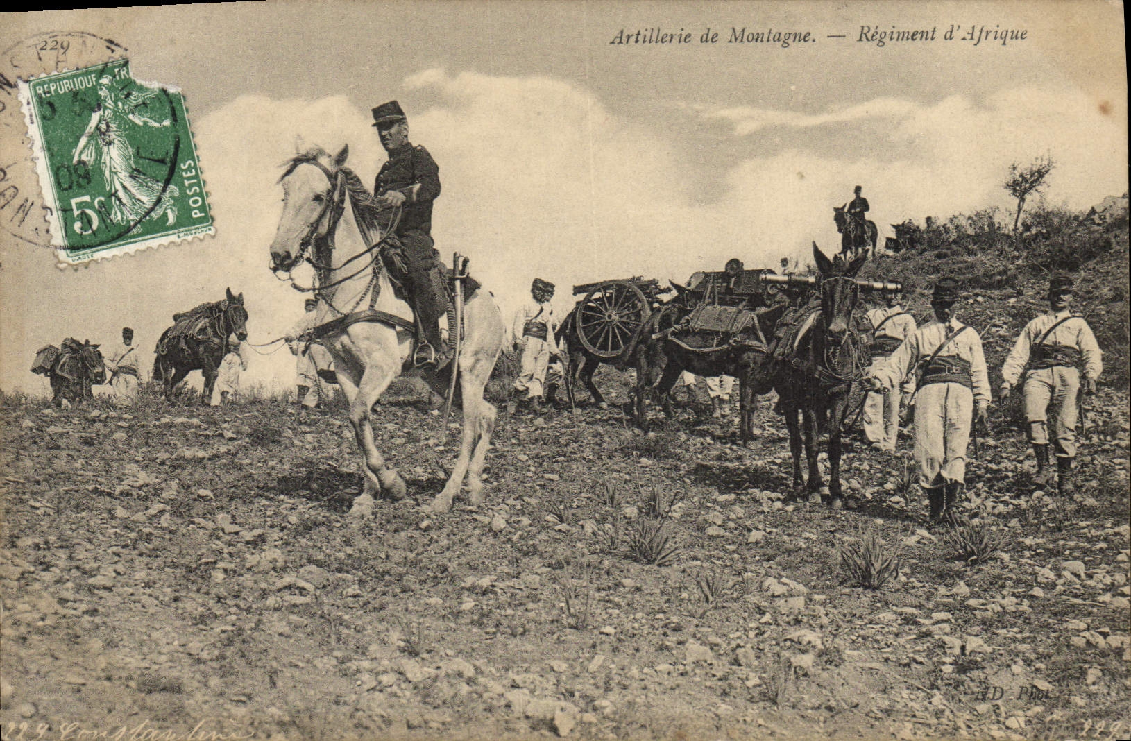 CPA Militaria Artillerie de montagne Regiment d'Afrique 