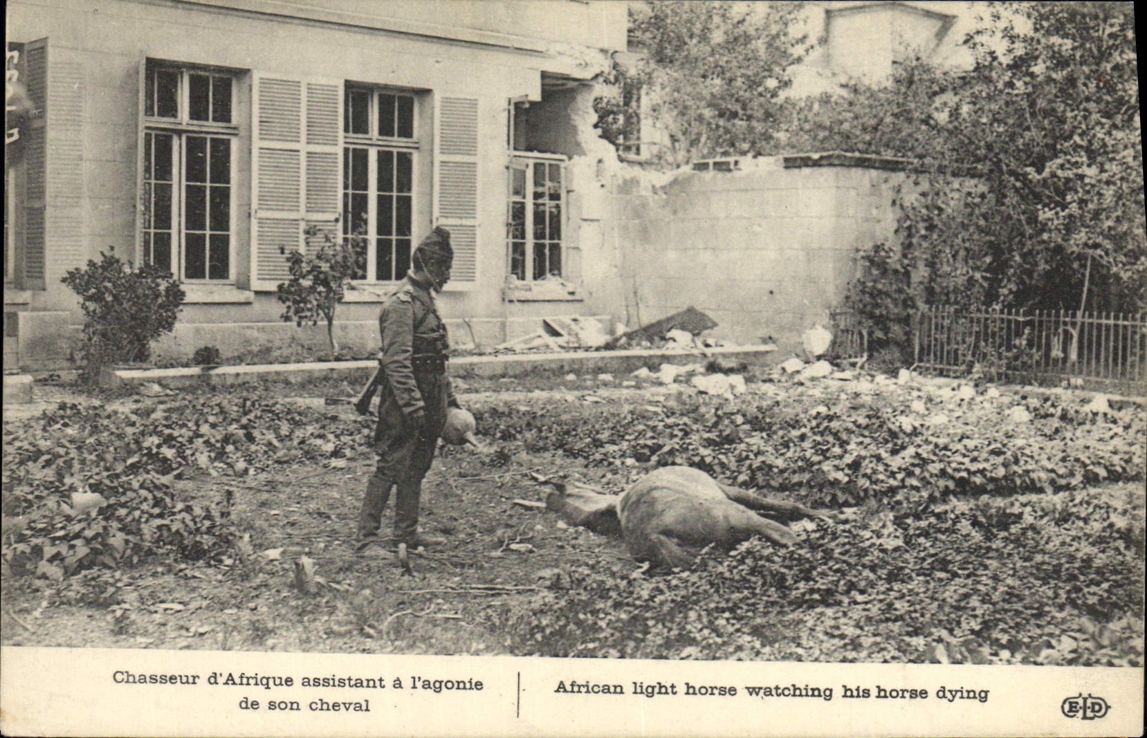 CPA Militaria Chasseur d'Afrique assistant a l'agonie de son cheval