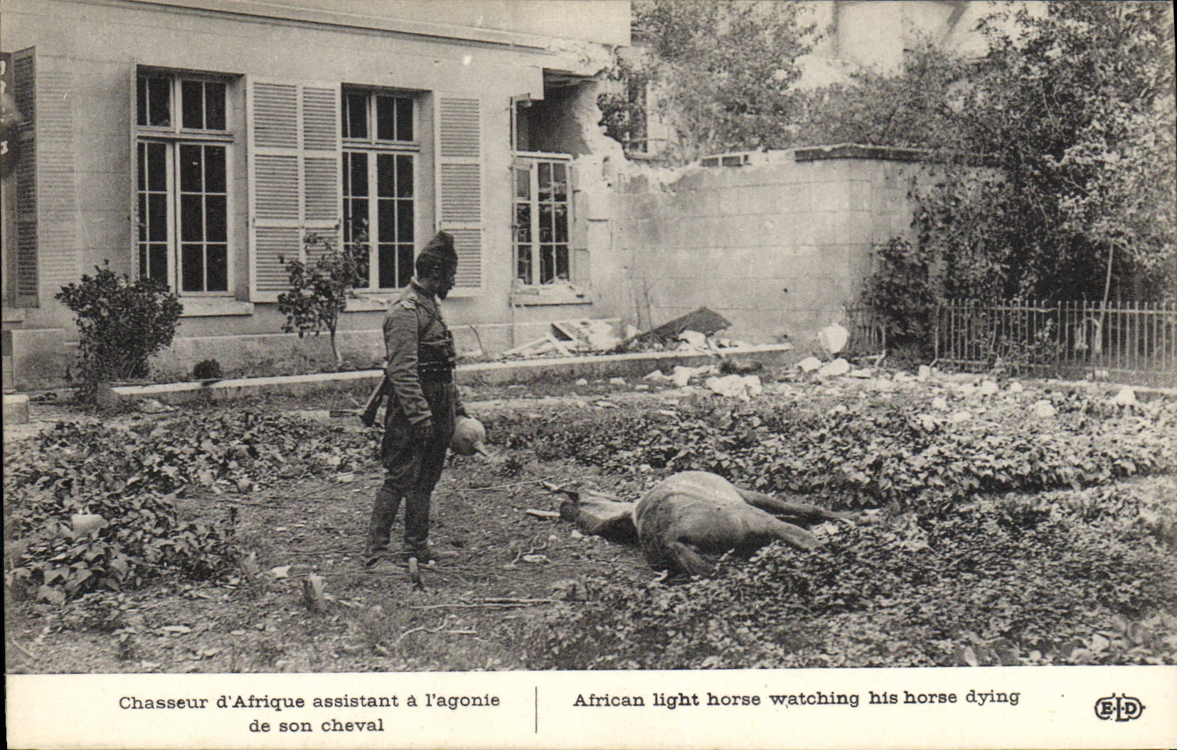 CPA Militaria Chasseur d'Afrique assistant a l'agonie de son cheval
