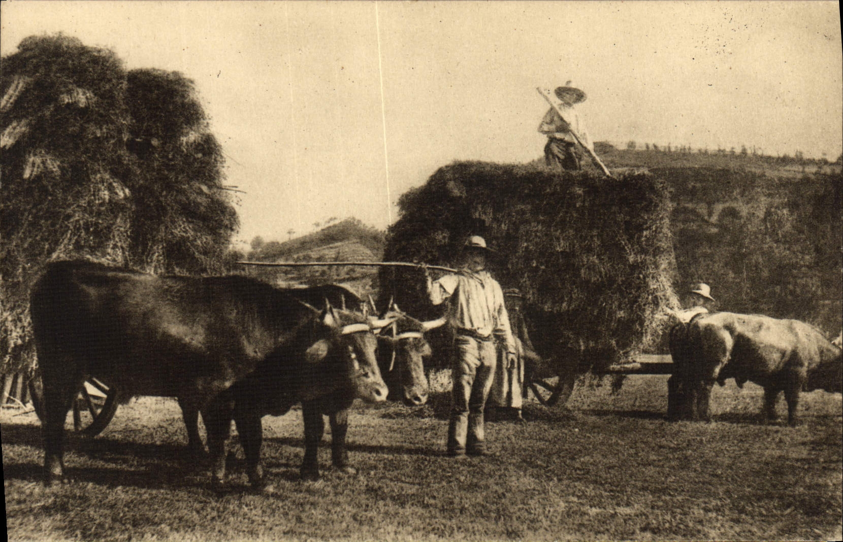Folklore de Auvergne de la POSTAL de la VENDIMIA el caballo del haymaking