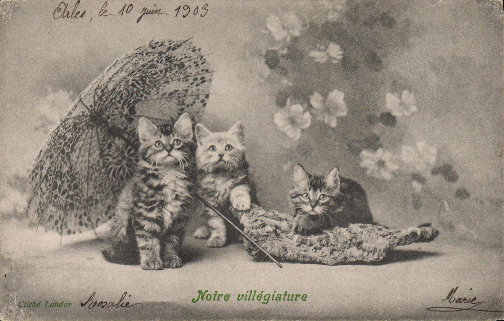CPA Chat Chats Chaton Notre villegiature 