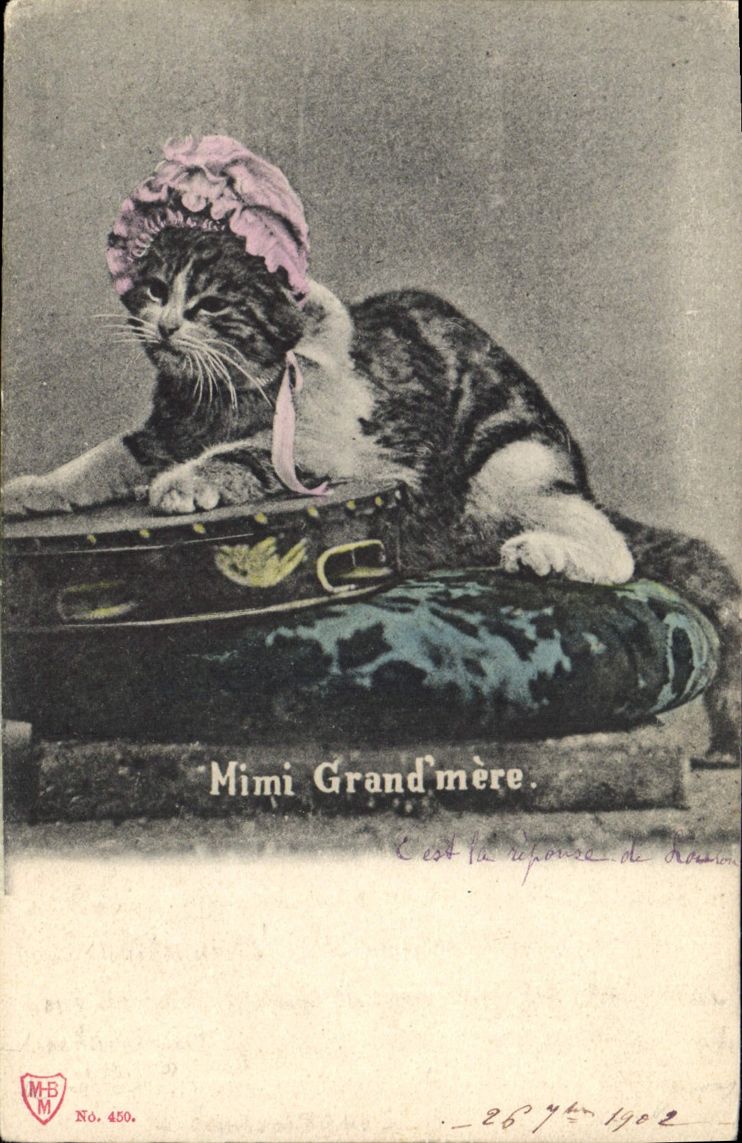 CPA Chat Chats Chaton Mimi Grand Mere 