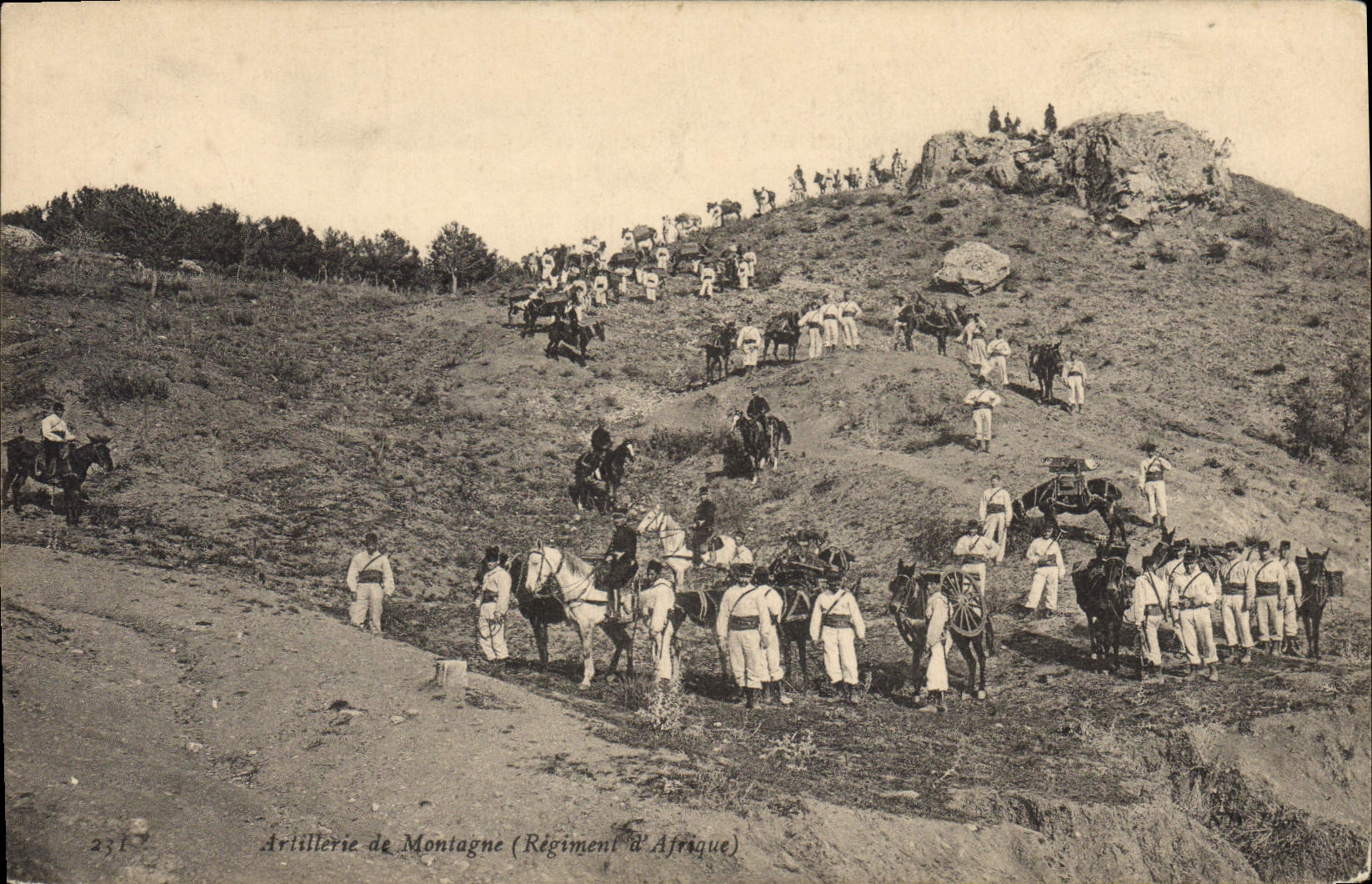 CPA Militaria Artillerie de montagne Regiment d'Afrique 