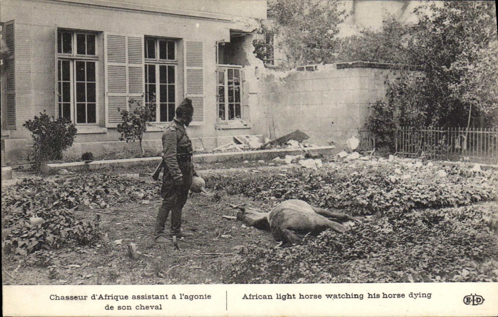 CPA Militaria Chasseur d'Afrique assistant a l'agonie de son cheval 