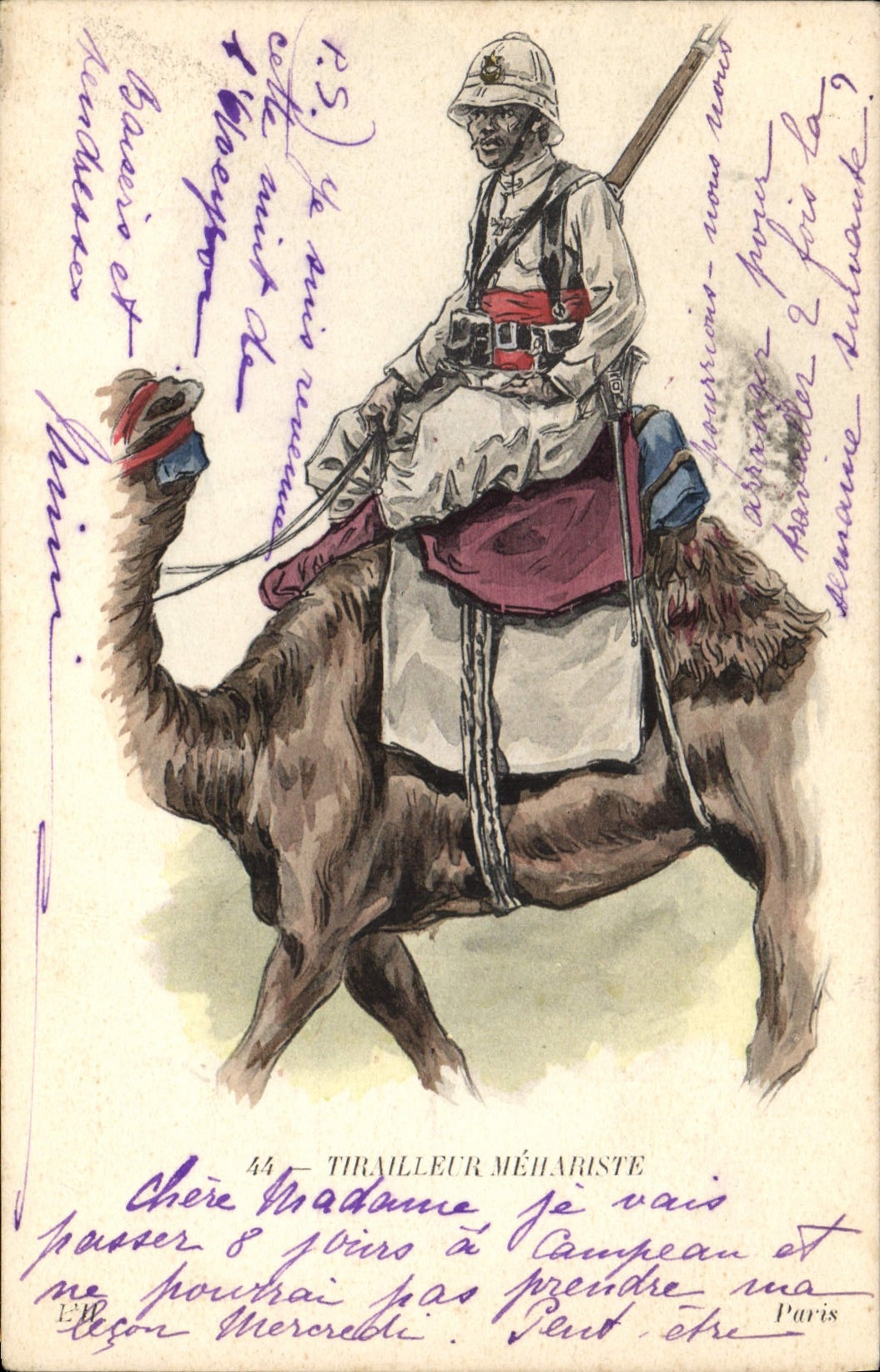VINTAGE POSTCARD Militaria Rifleman Mehariste Camel