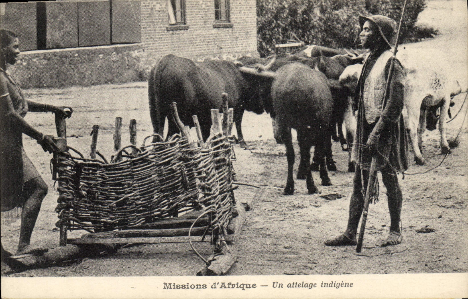 VINTAGE POSTCARD negro Black Man Missions of Africa an indigenous coach