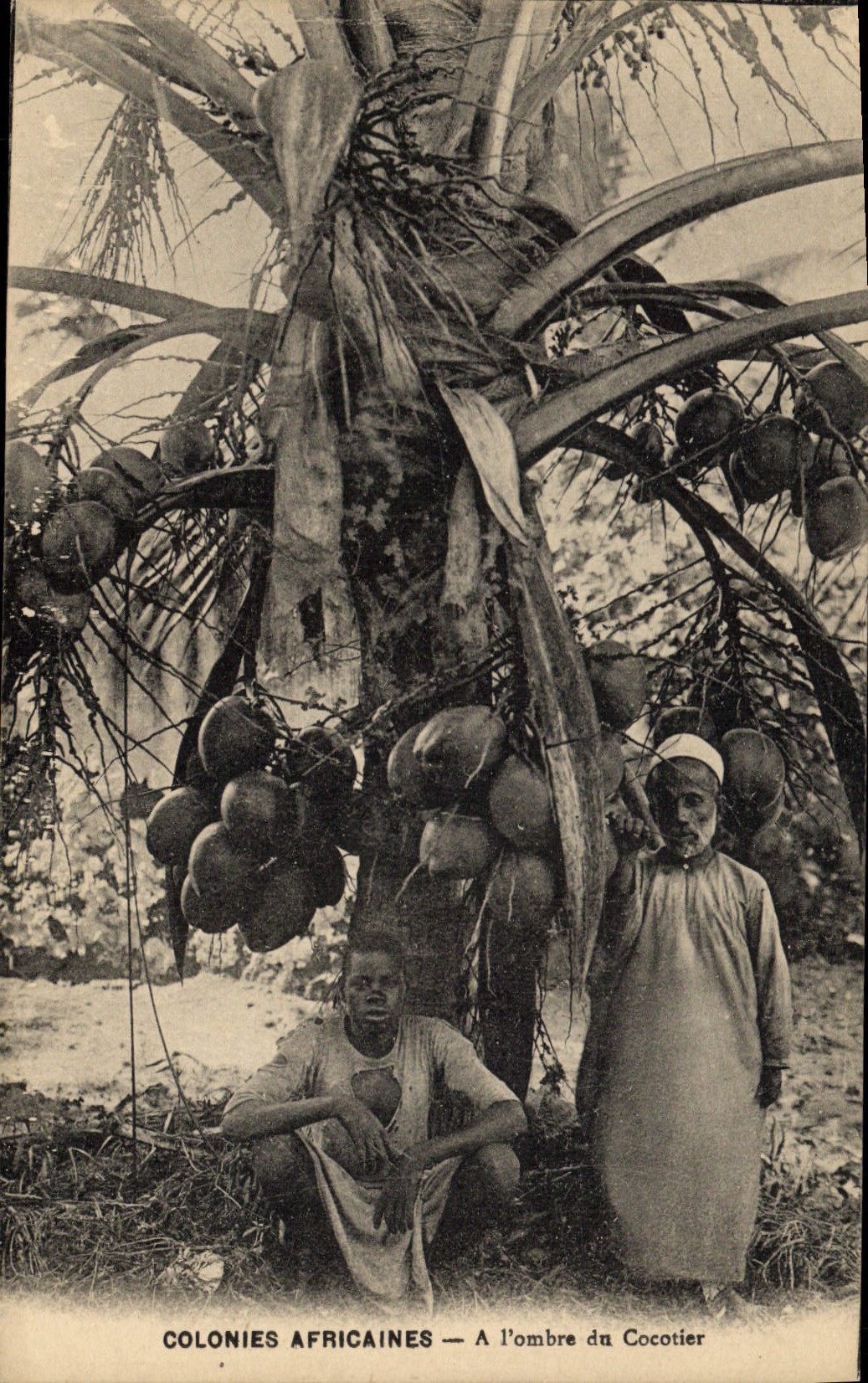 VINTAGE POSTCARD negro Black Man African Colonies In the shade of the coconut