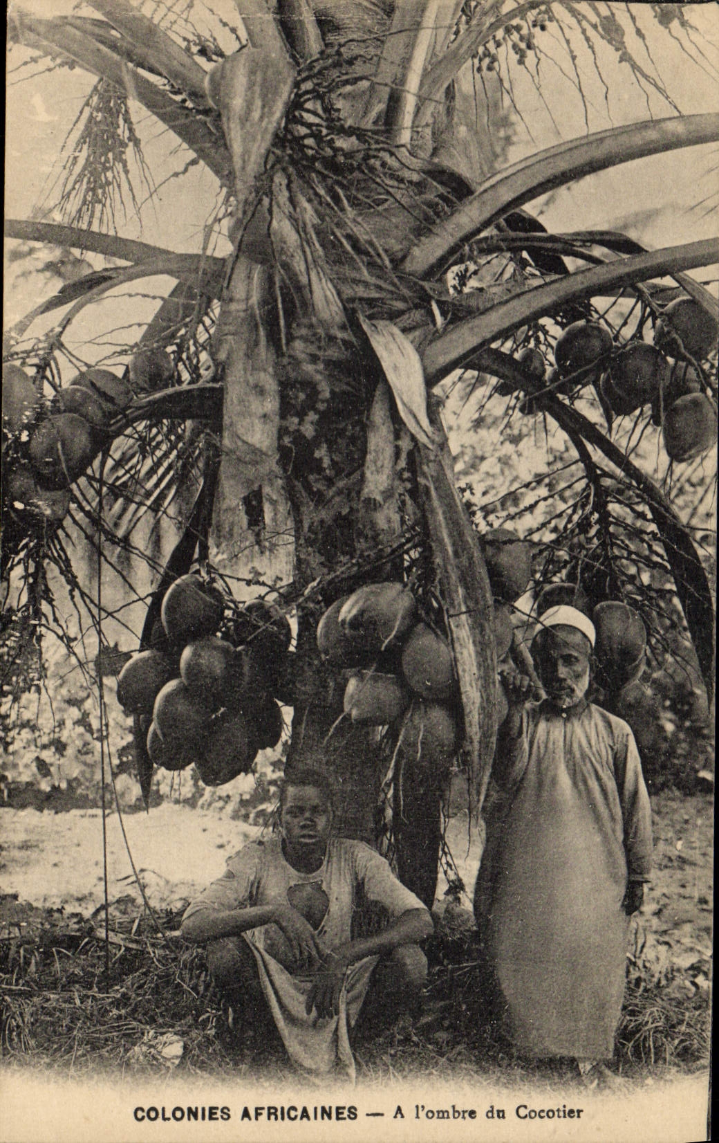 CPA Homme Noir negre Colonies africaines A l'ombre d'un cocotier