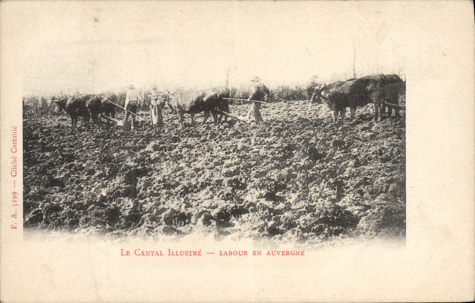 VINTAGE POSTCARD Folklore Cantal Ploughing in Auvergne