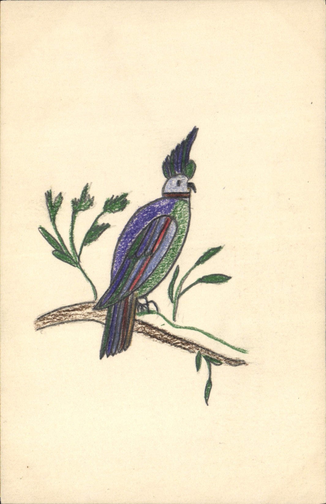 CPA Dessin a la main Oiseau