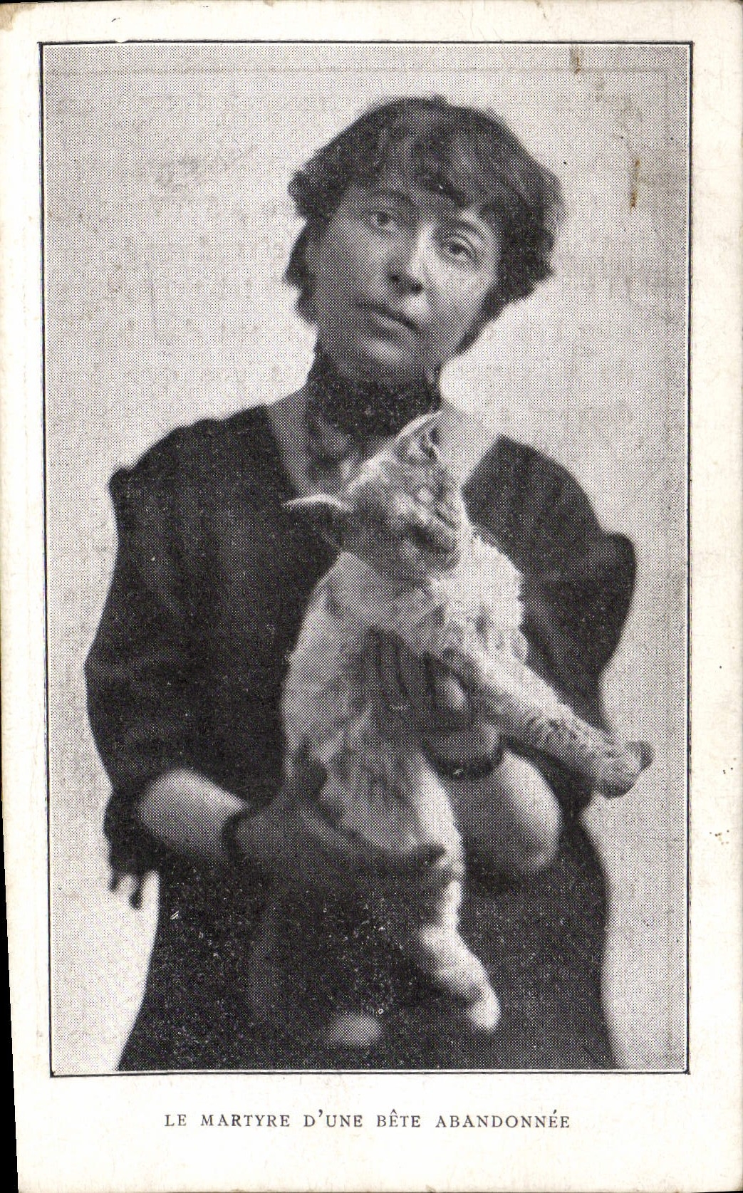 CPA Chat chats Chaton Femme Le martyre d'une bete abandonnee