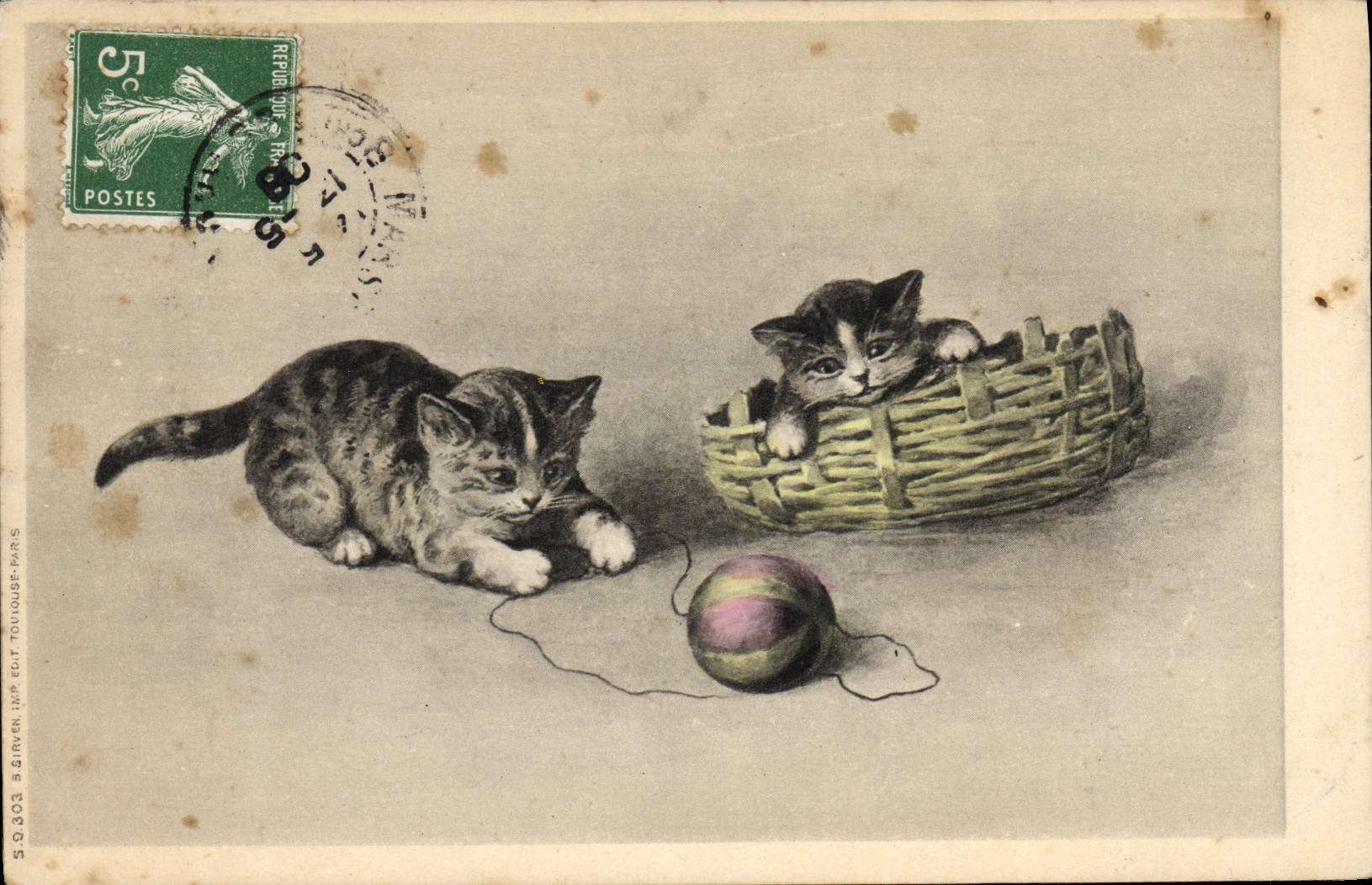 CPA Chat chats Chaton 