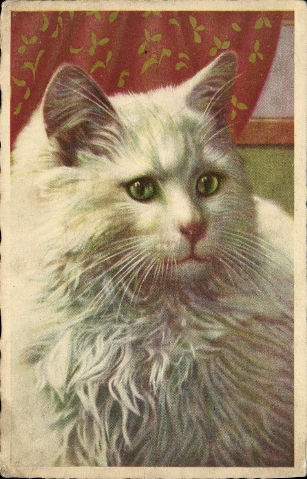 CPA Chat chats Chaton 