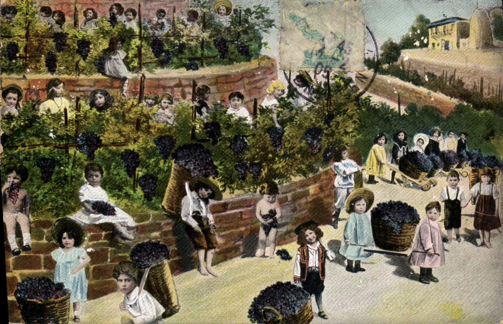 VINTAGE POSTCARD Fantasy Child Baby Wine Vineyard