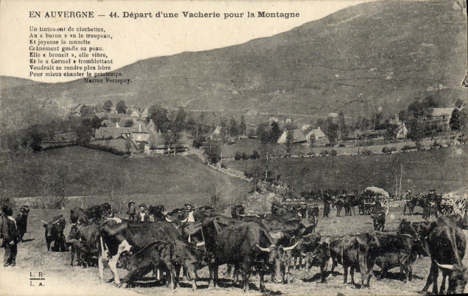 Salida de Auvergne del folklore de la POSTAL de la VENDIMIA de un truco repugnante para las vacas de la montaña