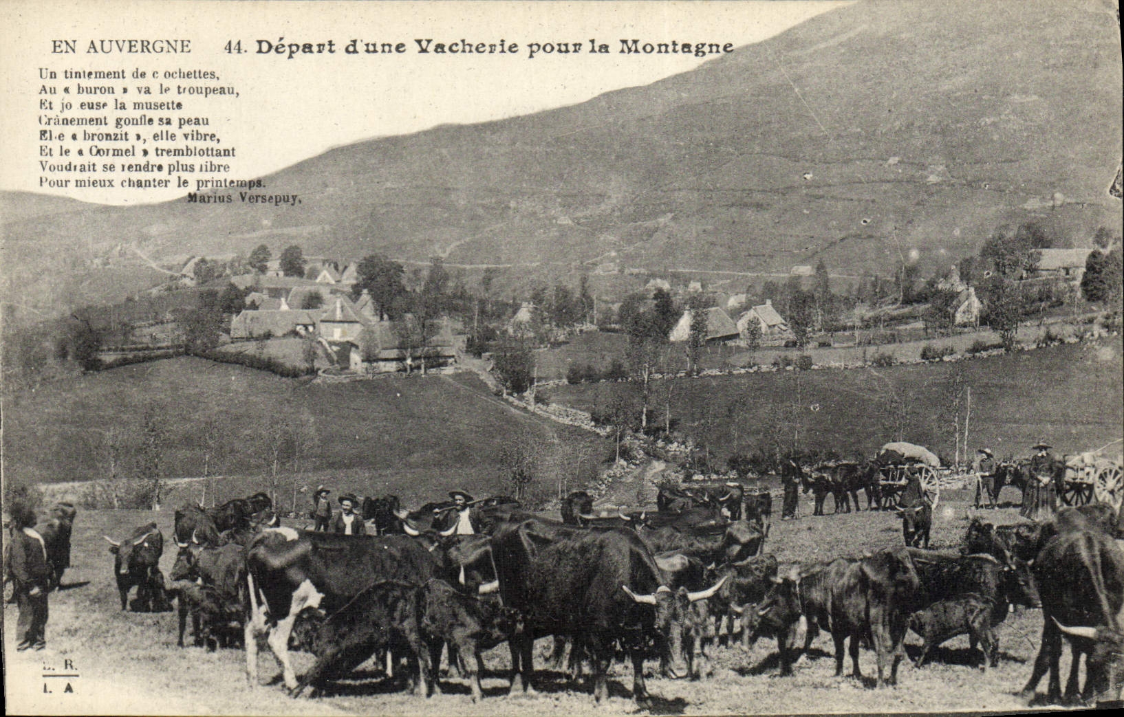 CPA Folklore Auvergne Depart d'une vacherie pour la montagne Vaches