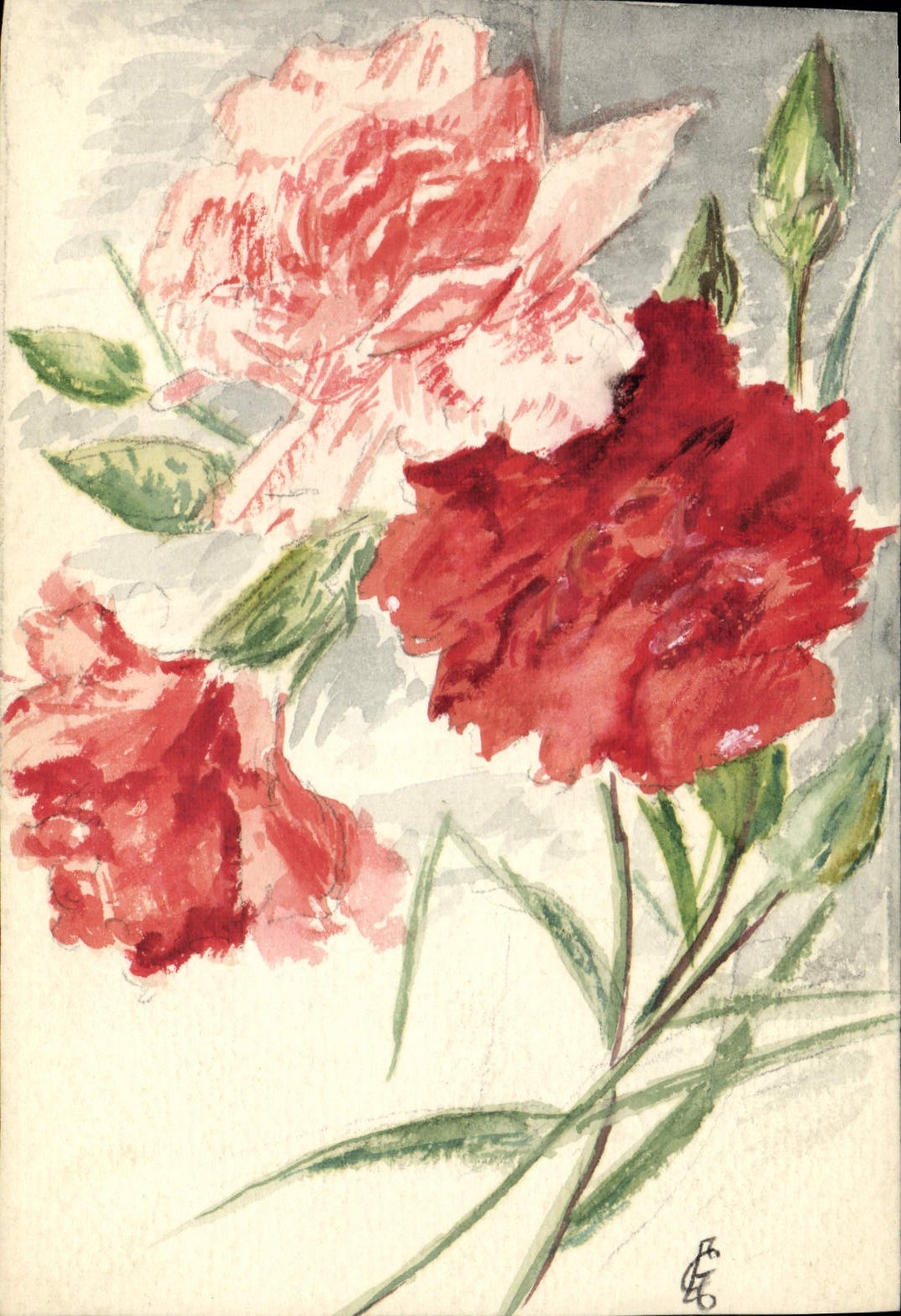 VINTAGE POSTCARD on blotting paper Drawing with the hand flowers