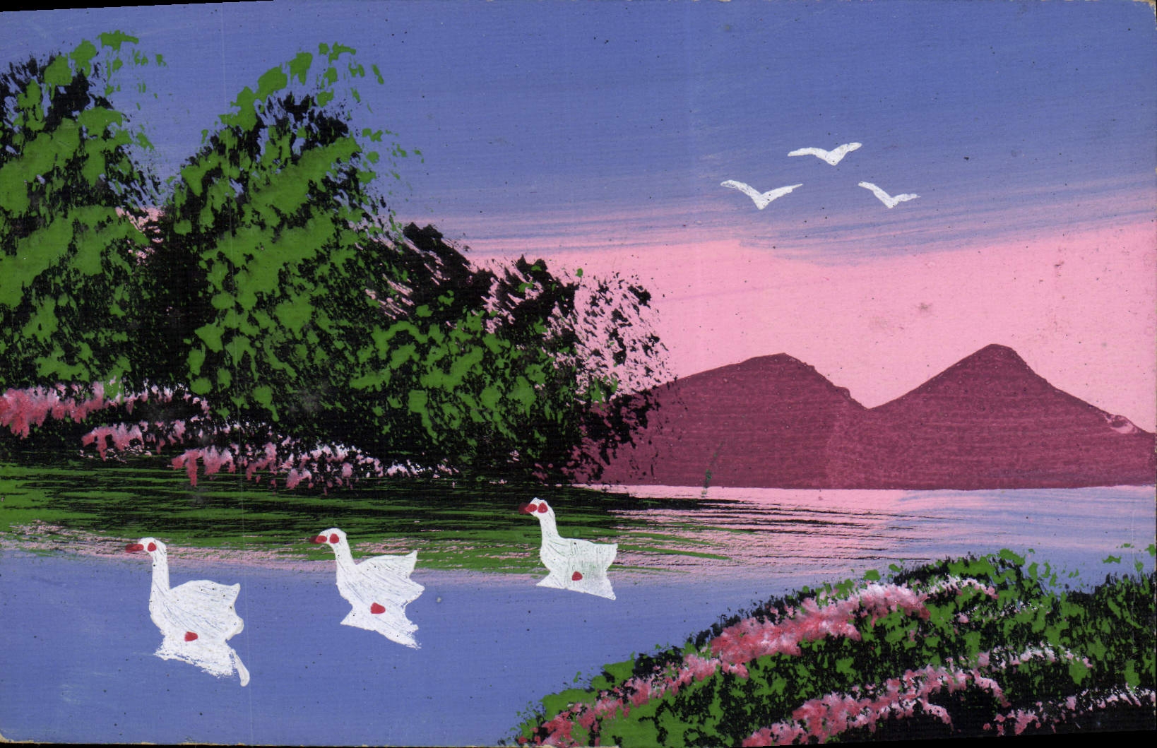 VINTAGE POSTCARD Drawing with the hand Ducks