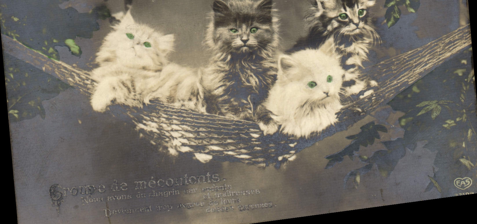 CPA Chat chats Chaton Groupe de mecontents