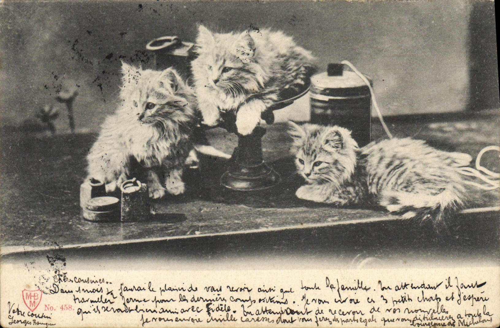 CPA Chat chats Chaton 