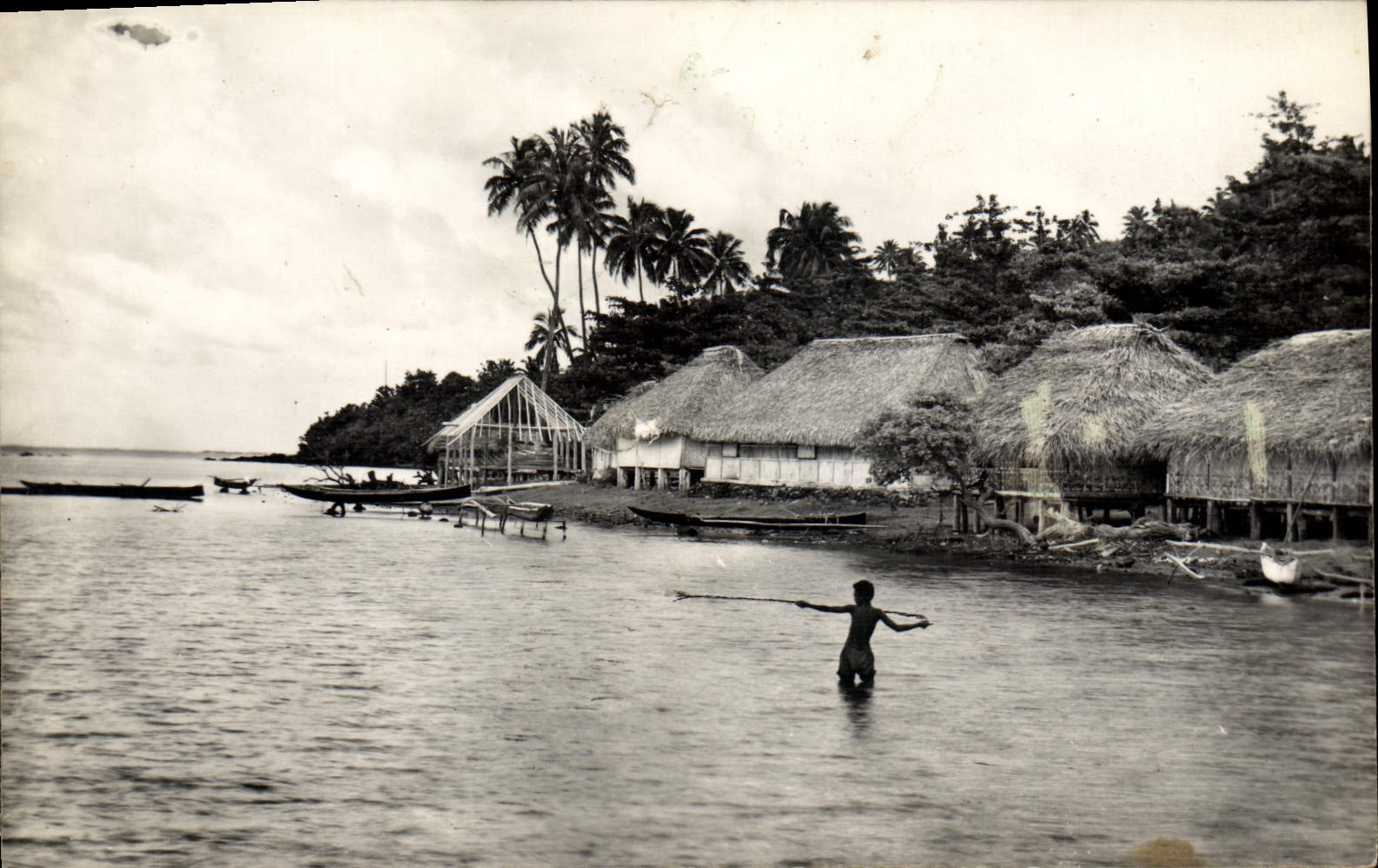 POSTAL MODERNA pescados de África