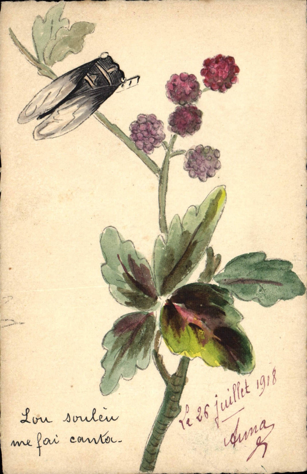 VINTAGE POSTCARD Drawing with the hand Flowers Insect