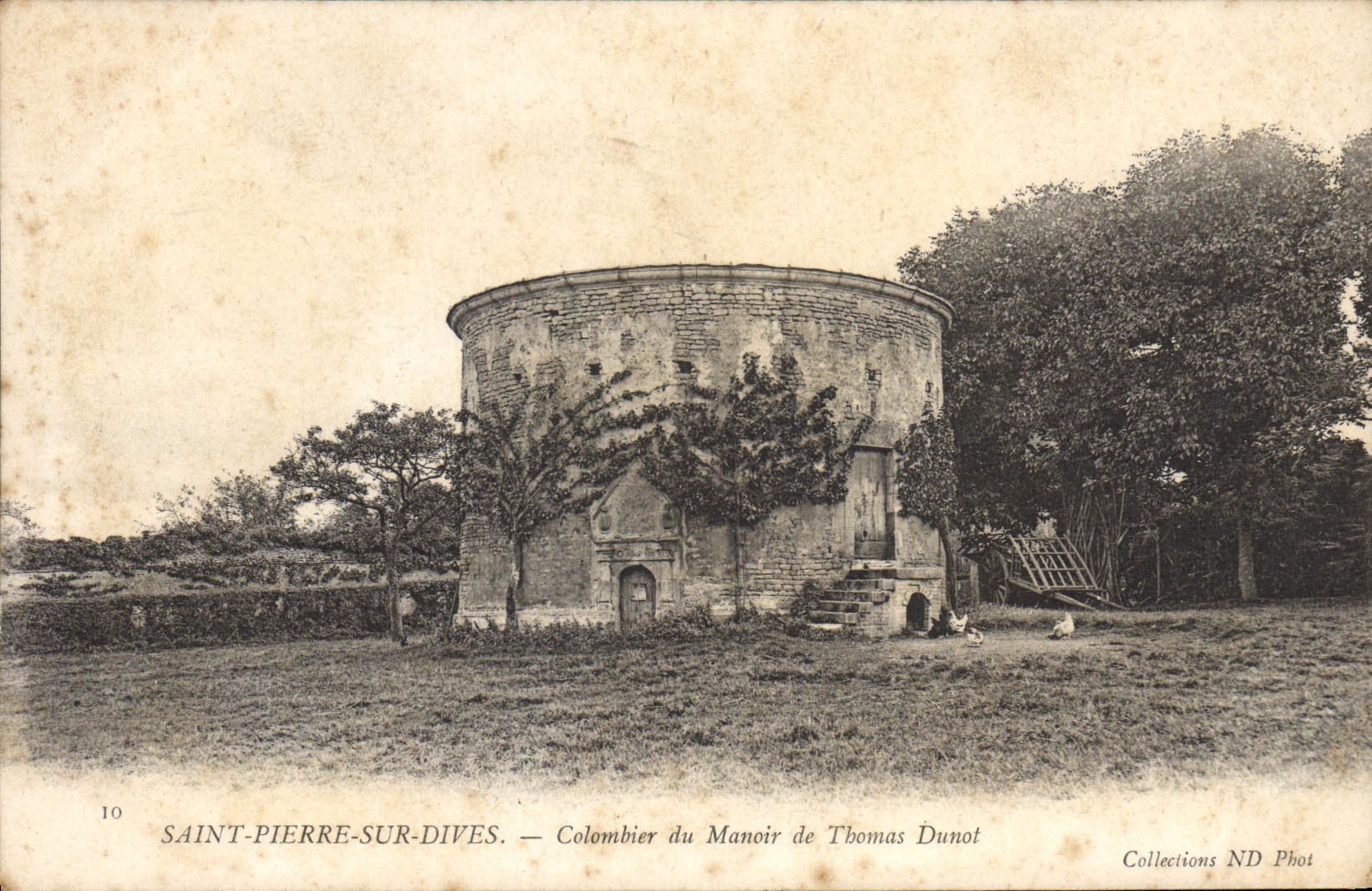 VINTAGE POSTCARD Dove Pigeon fancying Saint Pierre on Divine Dovecote of the manor of Thomas Dunot