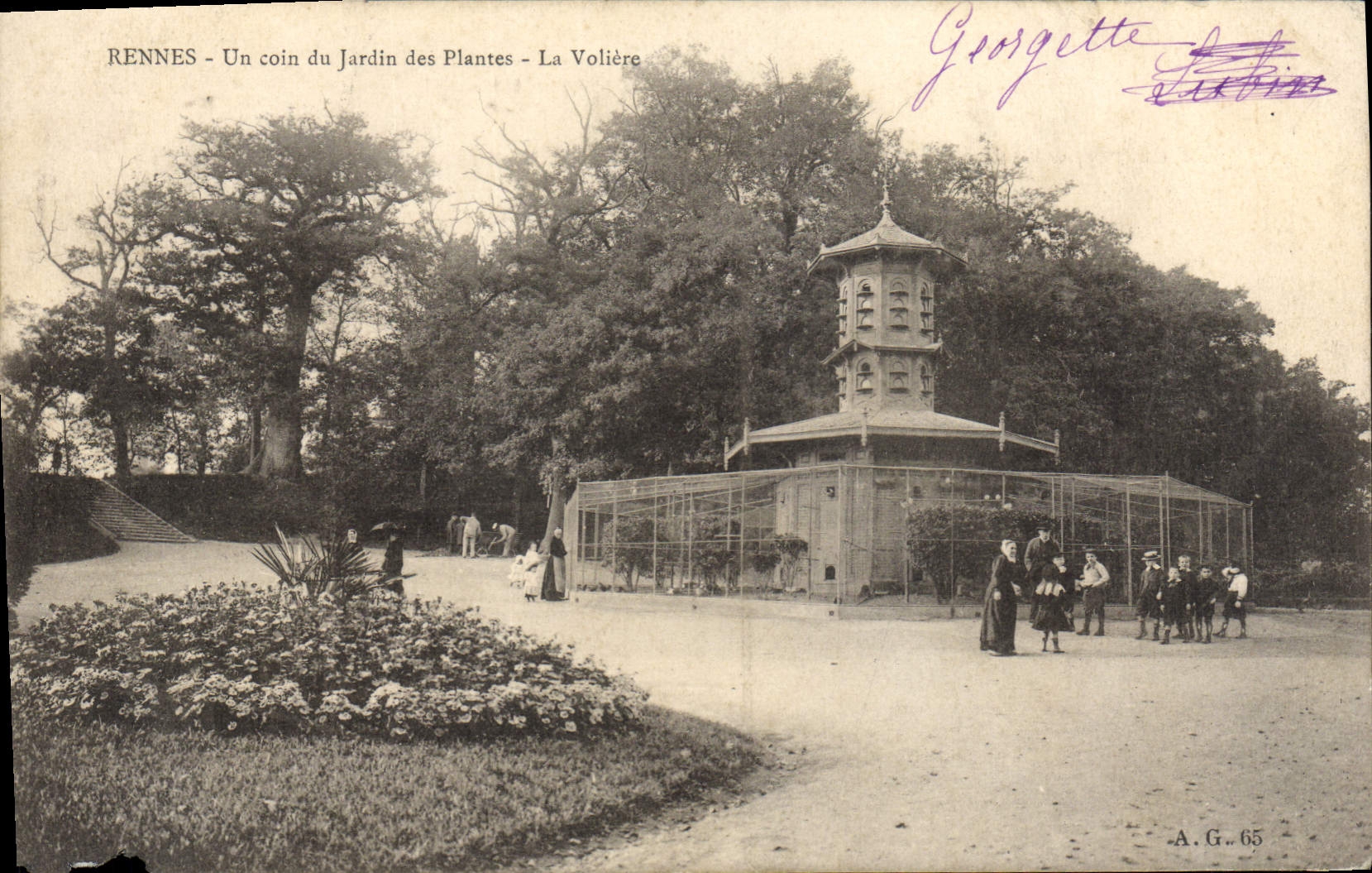 CPA Colombe Colombophilie Rennes Un coin du jardin des plantes La voliere 