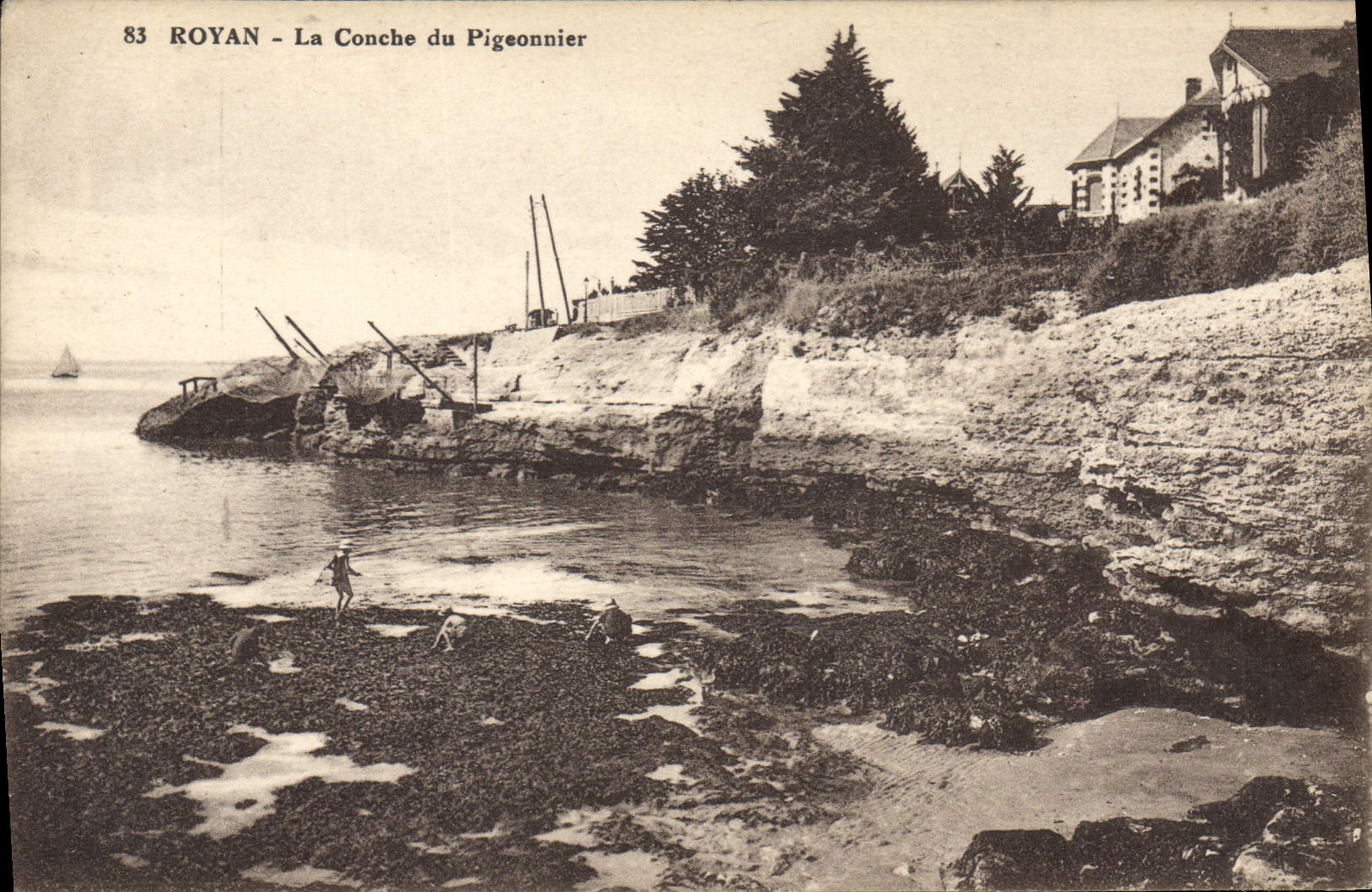 CPA Colombe Colombophilie Royan La conche du pigeonnier