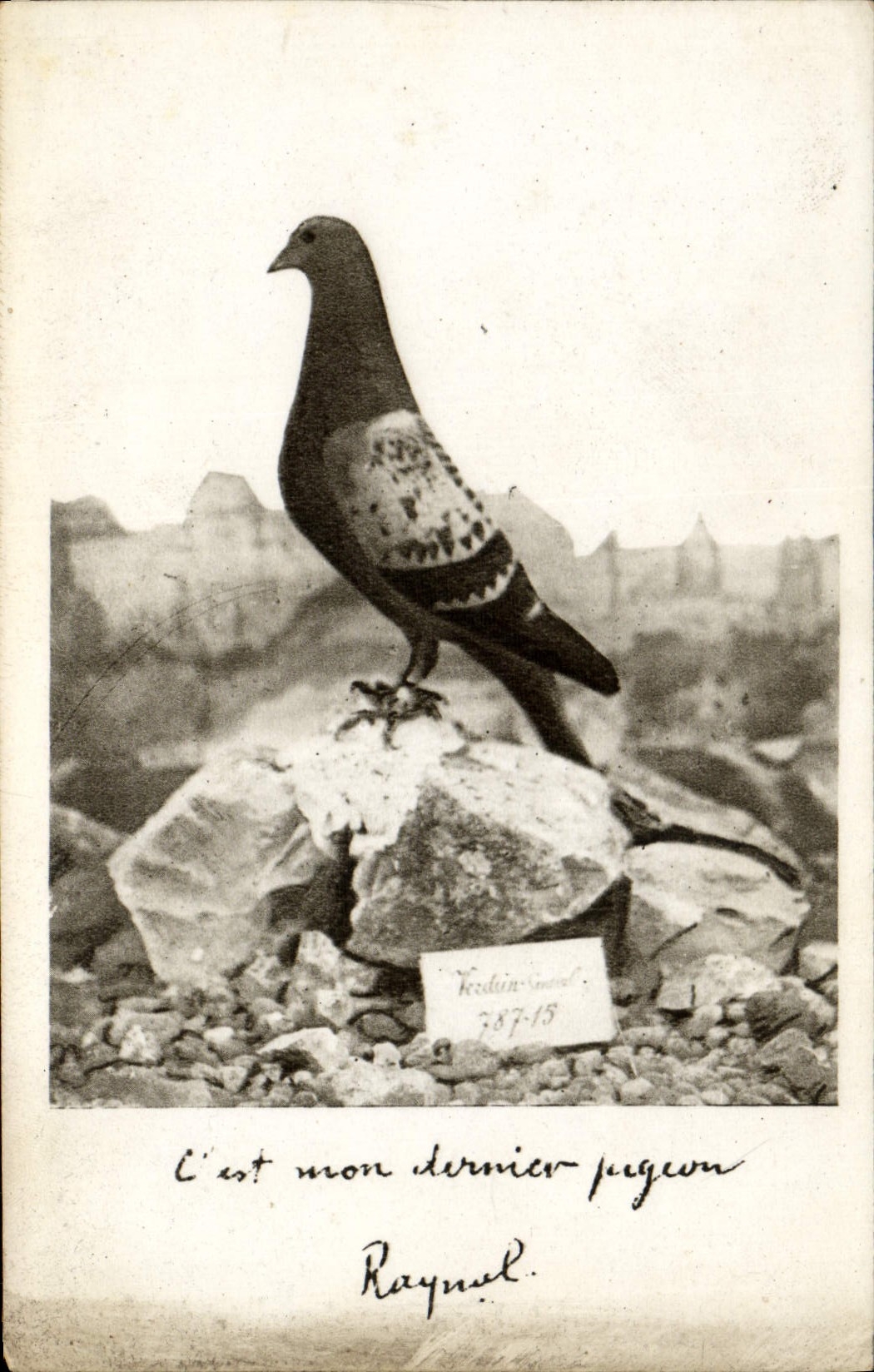 CPA Colombe Colombophilie Colombogramme du commandant Raynal Fort de Vaux Militaria 