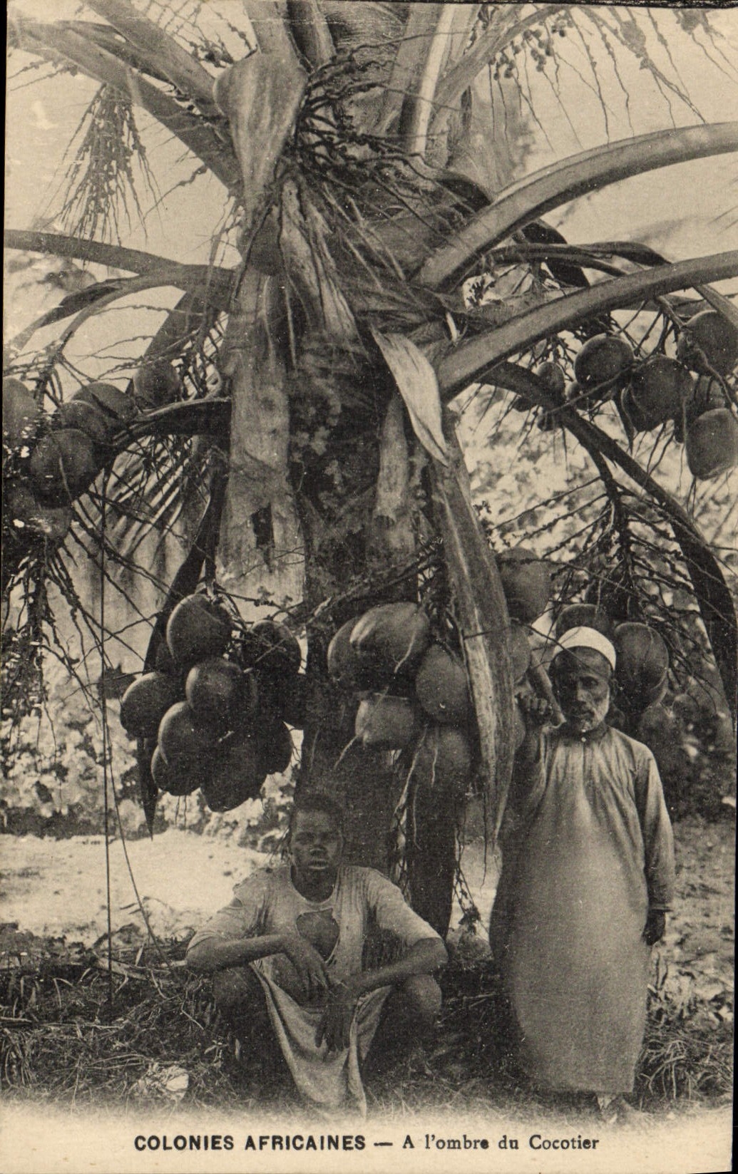 CPA Negre Homme Noir Colonies Africaines A l'ombre du cocotier