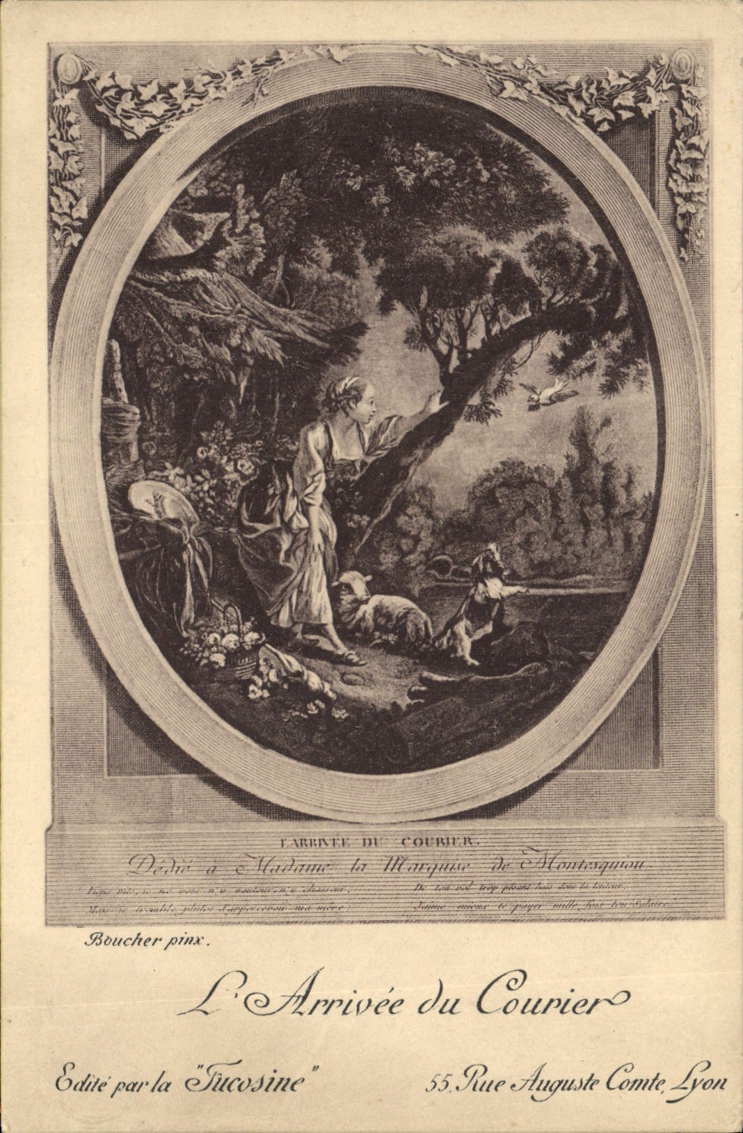 VINTAGE POSTCARD Dove Pigeon fancying the arrival of the mail Butcher