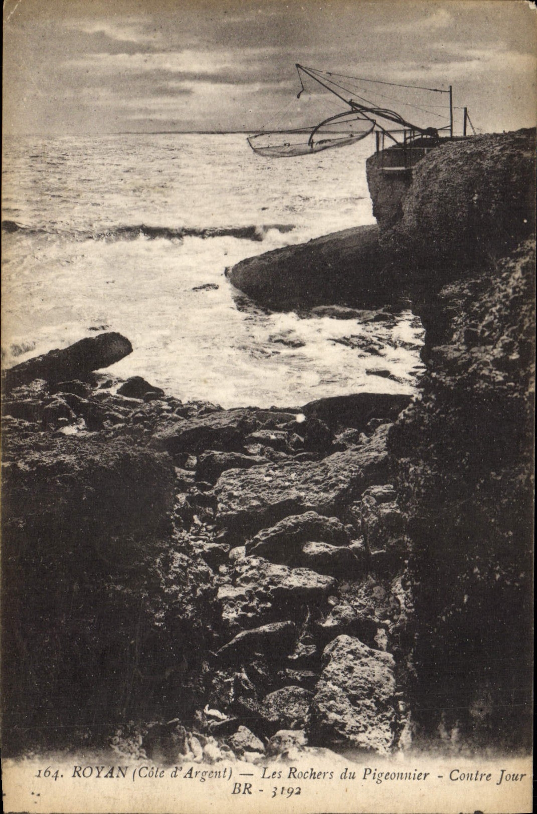 VINTAGE POSTCARD Dove Royan Pigeon fancying rocks of pigeon Against day