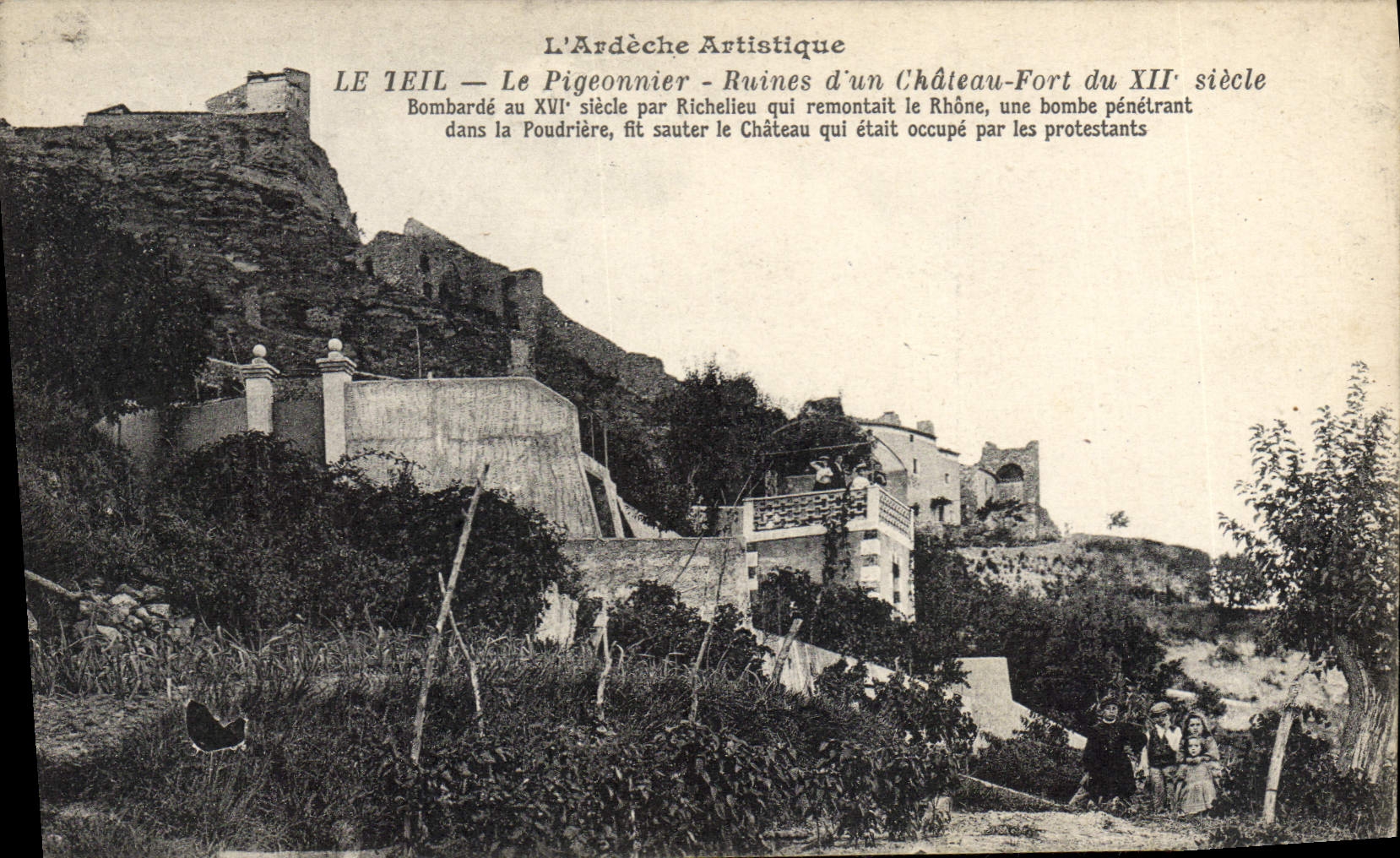 VINTAGE POSTCARD Dove Pigeon fancying Teil pigeon Ruins of a strong castle