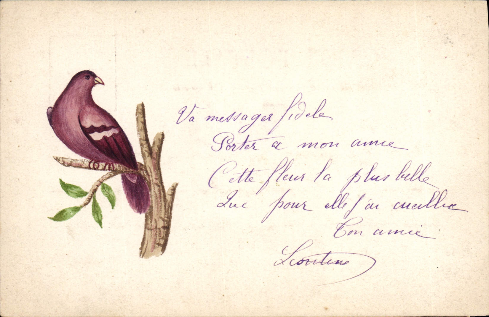 CPA Oiseau