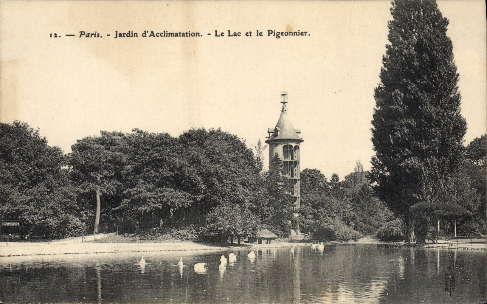 VINTAGE POSTCARD Dove Pigeon fancying Paris Zoological gardens the Lake and the pigeon one