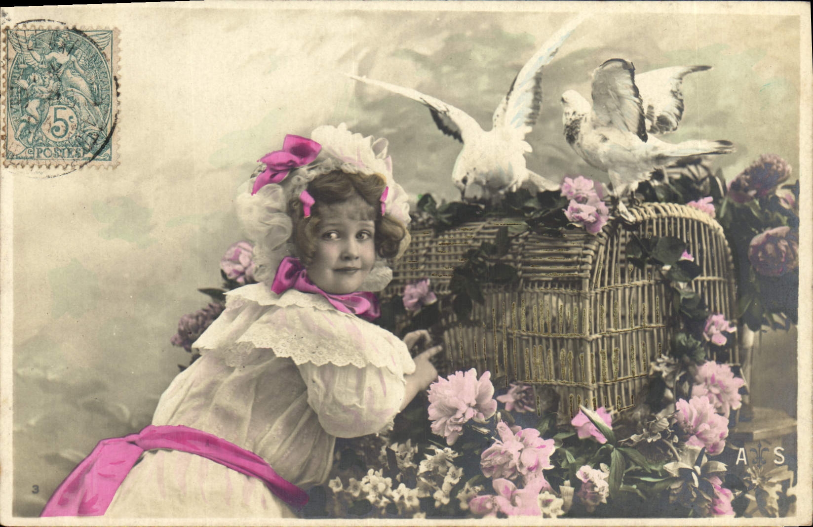 VINTAGE POSTCARD Dove Pigeon fancying Child