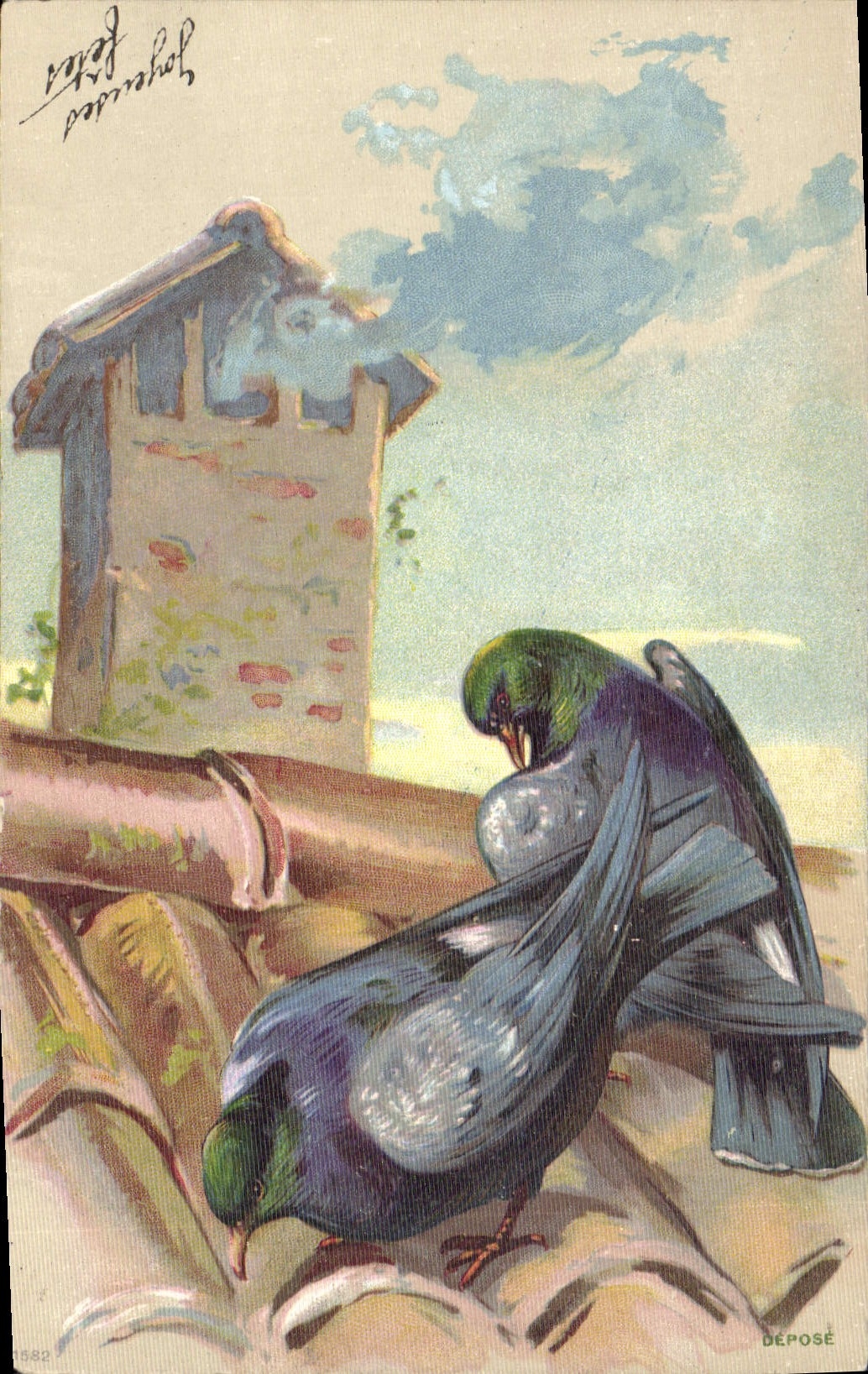 CPA Colombe Colombophilie 
