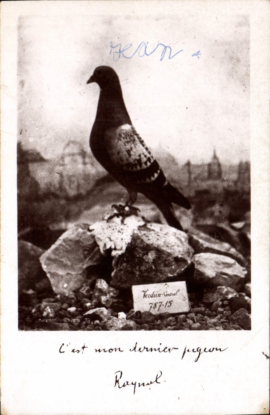 CPA Colombe Colombophilie Colombogramme du commandant Raynal Militaria