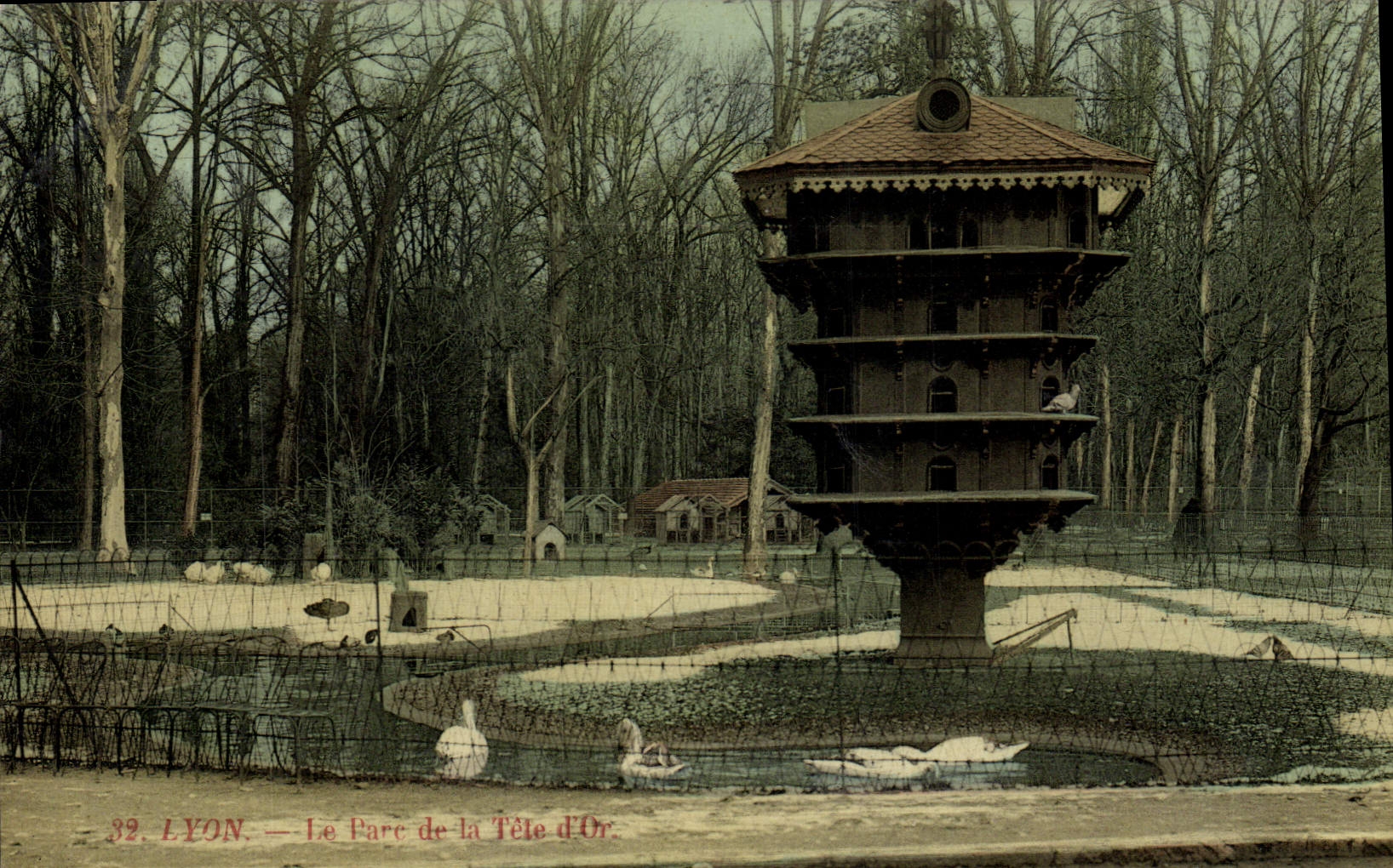 CPA Colombe Colombophilie Lyon Parc de la Tete d'Or Le pigeonnier