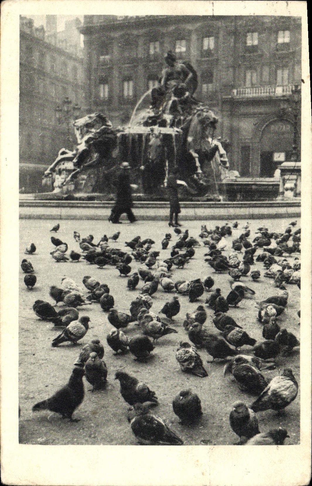VINTAGE POSTCARD Dove Lyon Pigeon fancying pigeons of the place of the Composts and the Bartholdi fountain