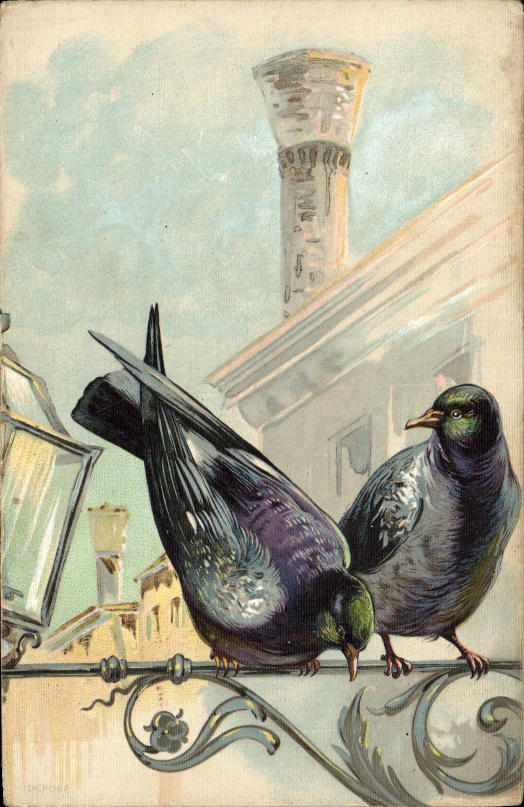 CPA Colombe Colombophilie Pigeons