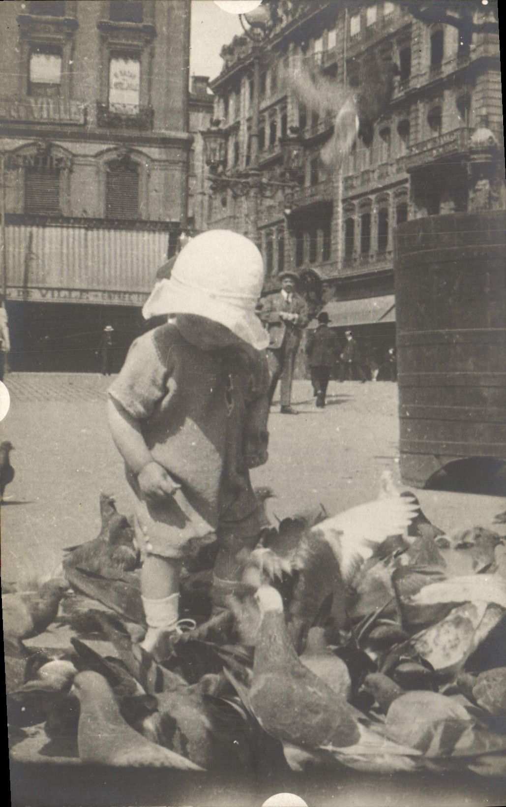 CARTE PHOTO Colombe Colombophilie Enfant Pigeons