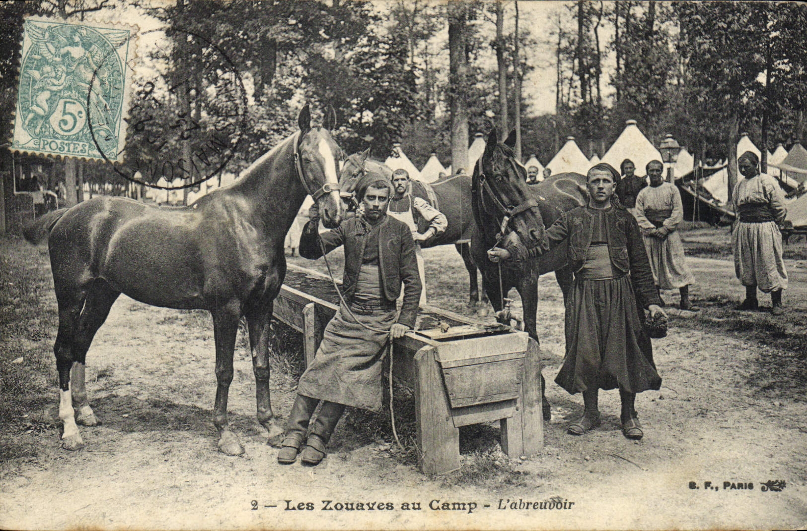 VINTAGE POSTCARD Militaria Zouaves with the camp the feeding trough Horses